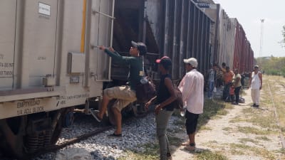 Människor klättrar ombord på tåget kallat "La bestia" genom Centralamerika  i hopp om att nå USA