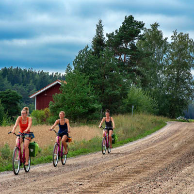 Tre kvinnor cyklar i Nagu på Skärgårdens ringväg.