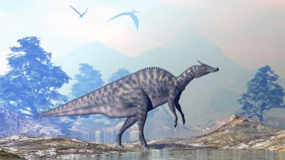 Illustration på en växtätande dinosaurie i släktet Saurolophus.