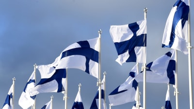 Finlands flagga i flera exemplar i Helsingfors på Finlands självständighets 100-årsdag.