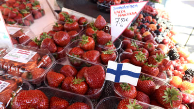 Jordgubbar till försäljning på Salutorget i Helsingfors i maj 2019.