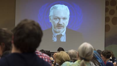 Julian Assange deltar per webb-tv i en konferens vid FN-högkvarteret i Geneve i Schweiz den 23 mars 2015.