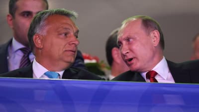 Venäjän presidentti Vladimir Putin ja Unkarin pääministeri Viktor Orban seurasivat judo-ottelua Budapestissa syyskuussa 2017. 