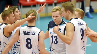 Volleyboll, herrlandslaget.