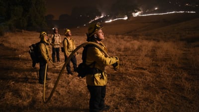 Fyra brandmän står och iaktar en skogsbrand som rasar i bakgrunden