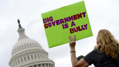 En kvinna håller ett plakat med texten "Big government is a bully".