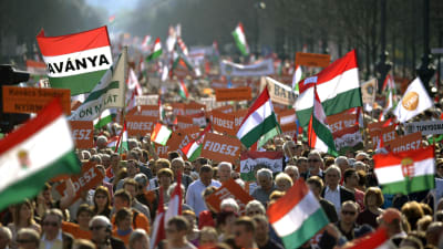 Personer som stöder Fidesz demonstrerar i Budapest