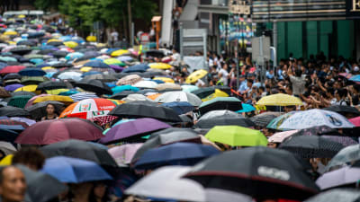 Demonstranter håller upp paraplyn under demonstration i Hongkong.