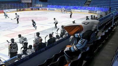 Pelicans mot TPS i hockeyligan.