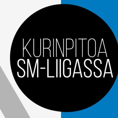 Kurinpitoa SM-liigassa; SM-liigan kurinpitoratkaisuja 2007–2014
