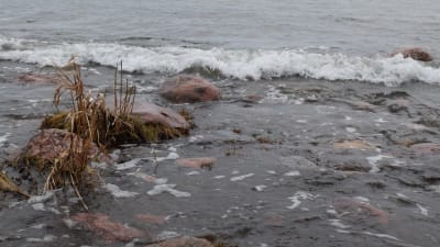 Havsvatten vid Kopparnäs i Ingå.