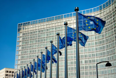 EU:s flaggor på rad framför EU-parlamentshuset i Bryssel.  