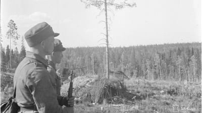 Två soldater blickar ut över skogsmark.