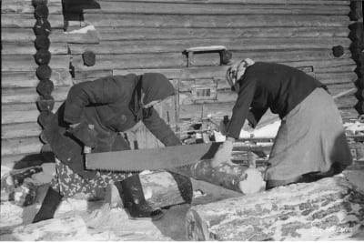 Naiset sahaavat tukkeja Paatenessa 1941.