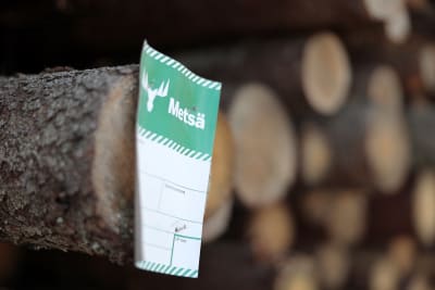 En lapp med Metsä Groups logo på en hög med trä.