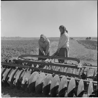 Naiste korjaamassa matalouskoneita Riipuskalassa Aunuksessa 1942.