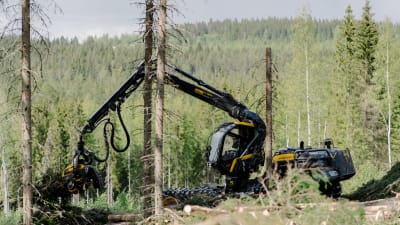 Skogsmaskin jobbar med att lyfta stockar.