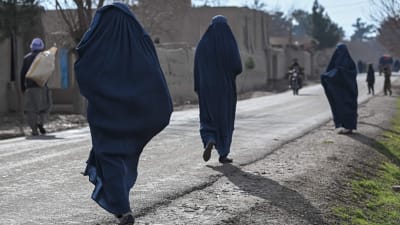 Kvinnor i burka i Afghanistan