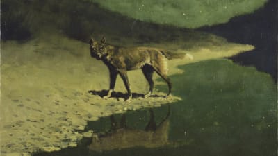 Frederic Remington: Månljus, varg (1909)