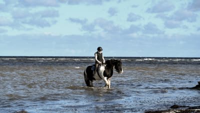 Kvinna på hästryggen i vattenbrynet nära Kiel i Tyskland. 