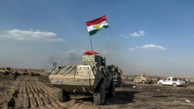 Peshmergastyrkor från irakiska Kurdistan har inlett en ny offensiv för att inta områden nära Mosul inför en storoffensiv mot själva staden i höst