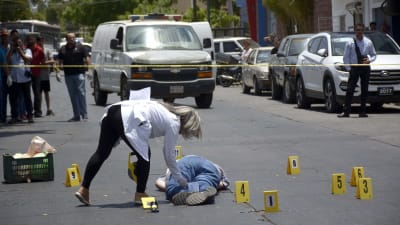 Javier Valdez kropp på en gata i Culiacan 15.5.2017