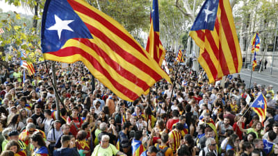Demonstranter i Barcelona protesterar mot polisens handlingar för att förhindra Kataloniens folkomröstning.