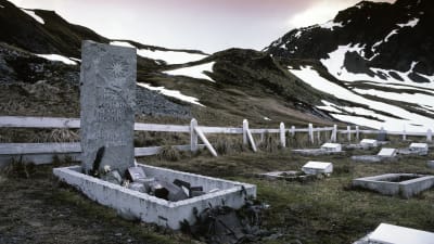 Ernest Shackletons grav på Sydgeorgien