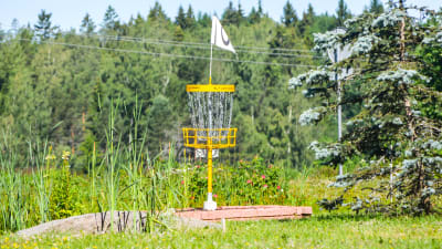 Korg för frisbeegolf