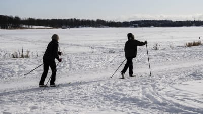 Helsingin Toukolan rantapuistossa hiihdeltiin joukolla helmikuun 2021 alussa.
