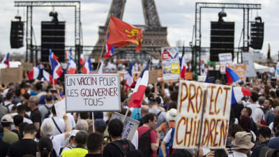 Bild på en demonstration i Paris. På bilden syns en folkmassa där en del håller upp skyltar med franska slagord.