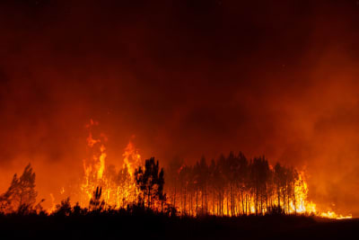 Skogsbrand i sydvästra Frankrike.