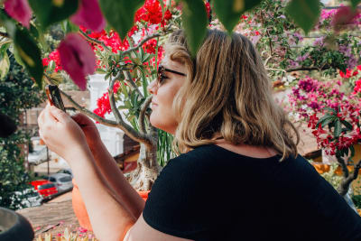 Vaaleatukkainen nainen katselee matkapuhelintaan kukkivien puiden keskellä.