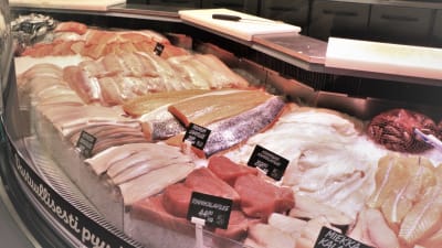 En fiskdisk med laxfiléer, tonfisk, sik och musslor. 