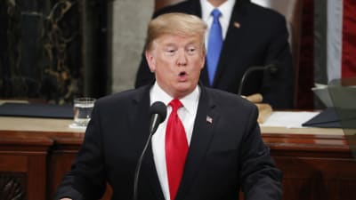 USA:s president Donald Trump höll sitt försenade tal till nationen i natt