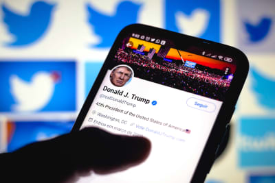 Donald Trumps Twitterkonto i förgrunden, flera varianter av Twitters logga i bakgrunden.