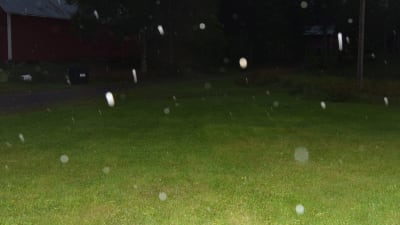 mörk gårdsplan, regndroppar som mera liknar snöflingor på grund av kamerablixten.