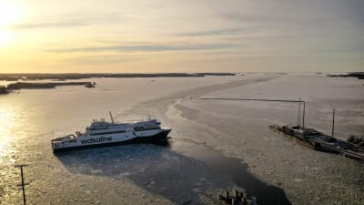 Fartyget Aurora Botnia på väg mot Umeå genom isen.