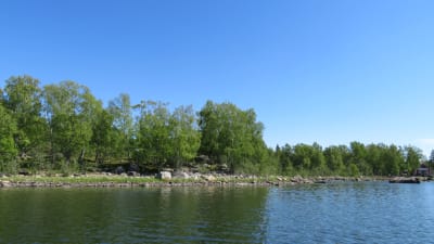 Lampaita Björkön-saarella