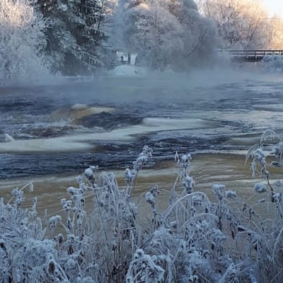 Vatten strömmar snabbt i en isig å. Längs kanten syns snöbeklädd växtlighet.