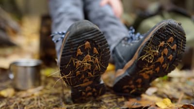 Fötter i skog