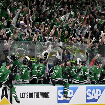 Dallas Stars