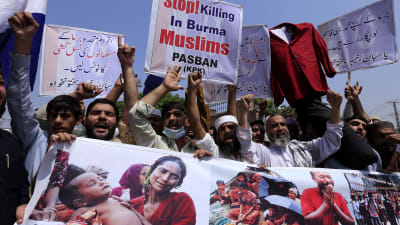 Massflykten från Burma har utlöst protester bland annat i Peshawar i Pakistan