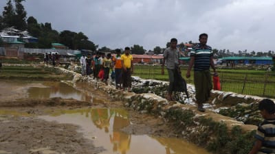 Rohingyaflyktingar i Bangladesh