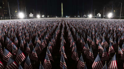 Tusentals små USA flaggor utplacerade på en gräsmatta utanför Capitolium.