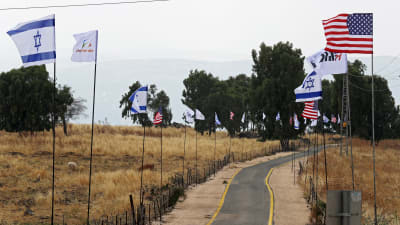 Amerikanska och Israeliska flaggor i Israels judiska koloni.