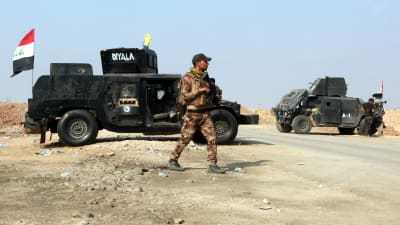 Irakiska soldater vid humvees