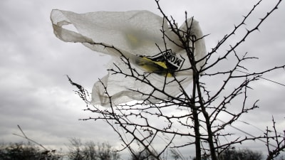 En plastpåse som har fastnat i ett träd.