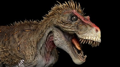 En illustration på en Tyrannosaurus – en stor köttätande dinosaurie.