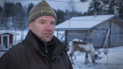Veikko Feodoroff, poromies, Inari